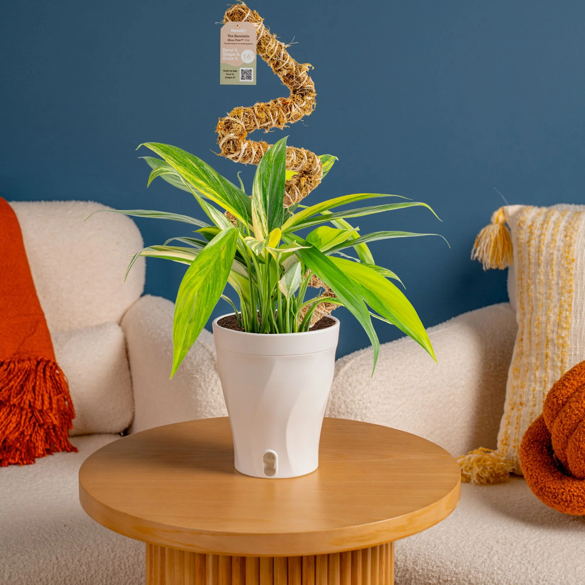 Thumbnail 13